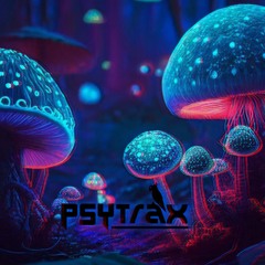 Love of a Spiritual Journey | FullOn / Melodic Psytrance Set | 146 BPM |