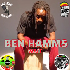 BEN HAMMS - Wait / TruMon Dubplate
