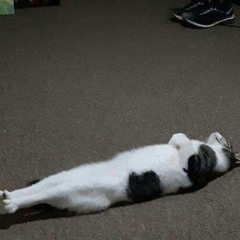 niko's birthday rave - 3/11/2024 - thessaloniki