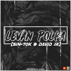 - Levan Polka [ S IN - TO K & DAVID JR ] Remix .