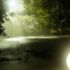 Djonni Laser - Kontrast Festival 2024