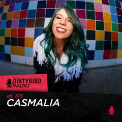 Dirtybird Radio 375 - Casmalia