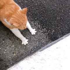 no more