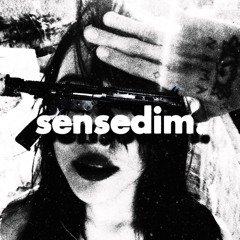sensedim (on spotify!!)