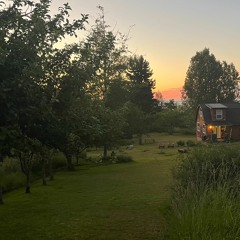 december improv - 23