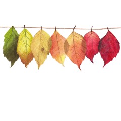 AUTUMN MIX