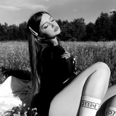 Pereputala (Hardstyle)