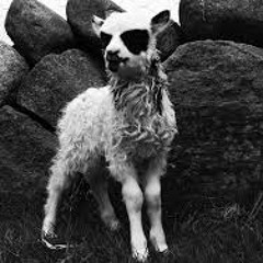 Nokturnal Misantrophia - Vi ska dö