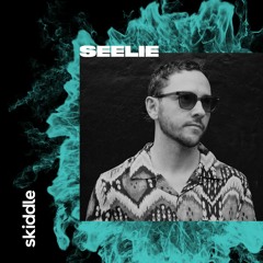 Skiddle Mix: Seelie