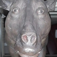 wrath. freddie dredd sped up