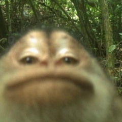 unremarkable type beat