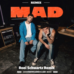 Martin Garrix & Lauv - MAD (Roei Schwartz Remix)