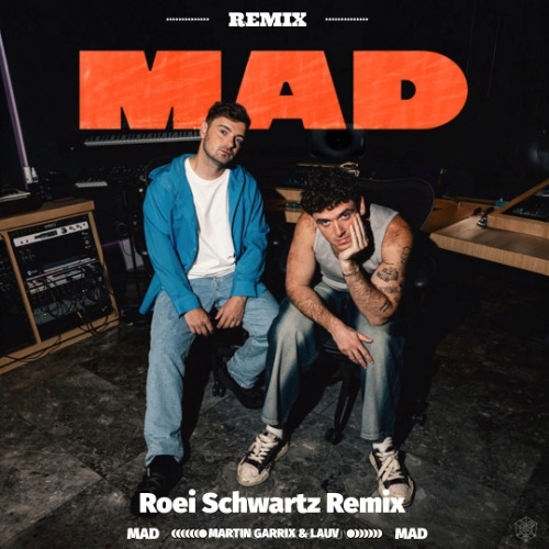 Martin Garrix & Lauv - MAD (Roei Schwartz Remix)