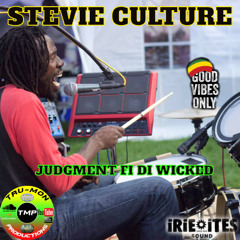 STEVIE CULTURE - Judgment Fi Di Wicked / TruMon Dubplate(Remix)