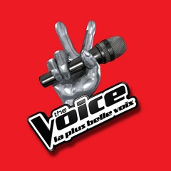 GRAND LARGE - Vendredi 16 sept 2022 - The Voice: 17 voix et des coups de cœur au casting de Ploemeur
