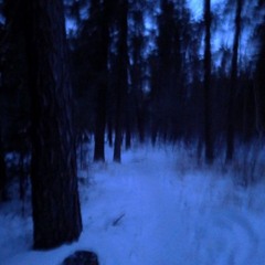 3 dollar meal deal ft Jason Kushe (wortxx)