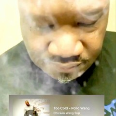 Too Cold - Pollo Wang