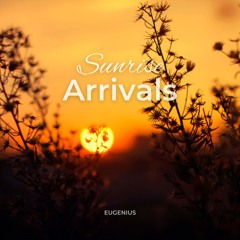 Sunrise Arrivals (Free Download)