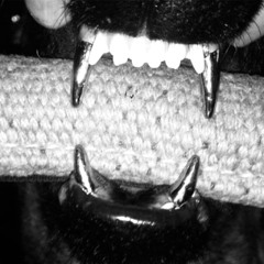 PGC Israel Green Ft CVM (Prod. Mercykill + Adjacen7)