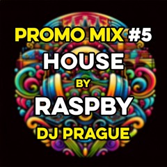 PROMO MIX 5 | RASPBY - House (Progressive, Melodic)