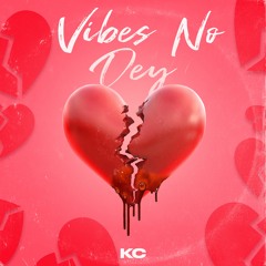 Vibes No Dey