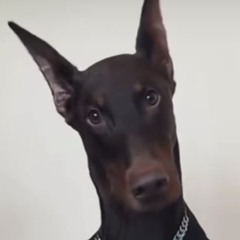 [New Leak!] Ken Carson - Ben 10 : Peppermint