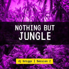 Nothing But Jungle Session 2 - Dj Briggs