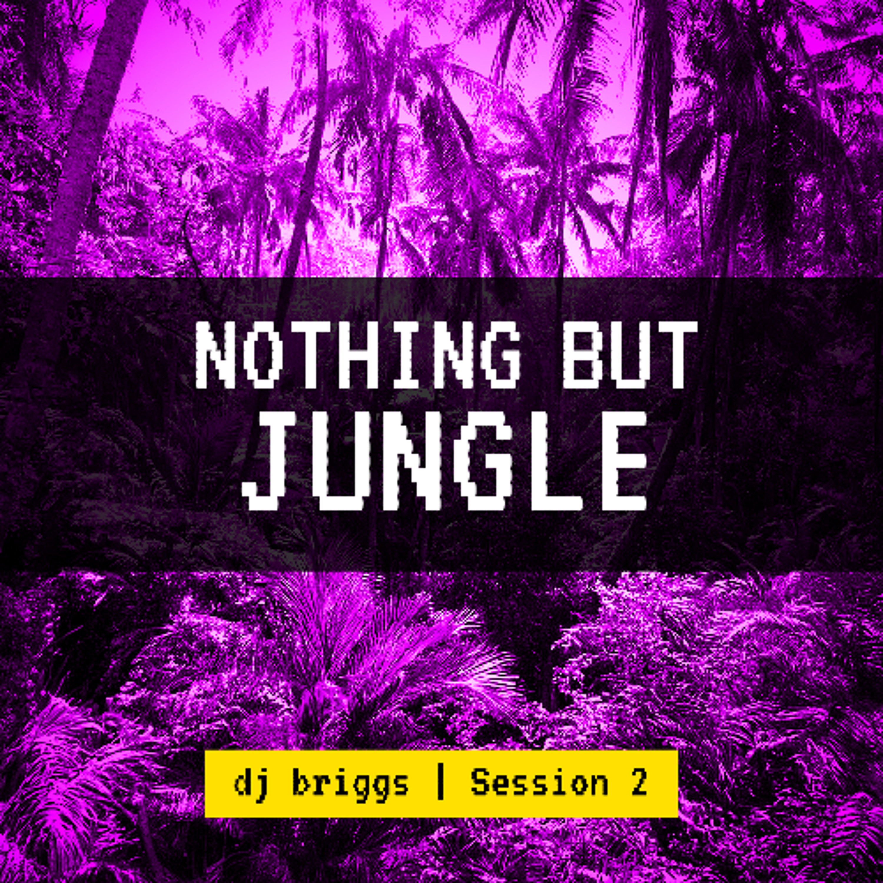 Nothing But Jungle Session 2 - Dj Briggs episode artwork