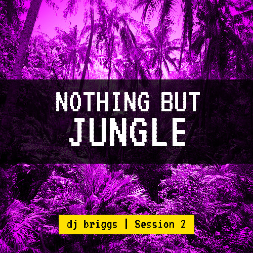 Nothing But Jungle Session 2 - Dj Briggs