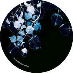 Frozen Rose (Special Edition)