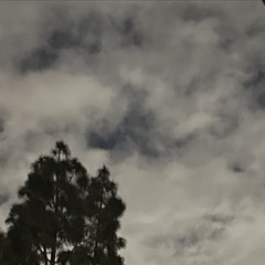 02'// Stoned - Mac Miller (Unreleased)
