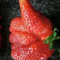 Strawberry Party Part 2 05-07-2024