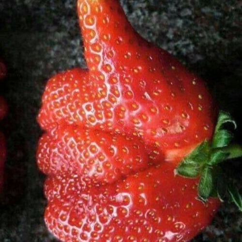 Strawberry Party Part 2 05-07-2024