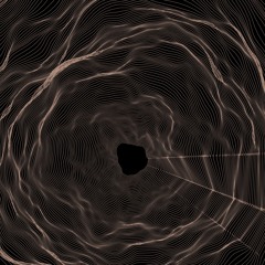 Home Is Not Where You Are Born Home Is Where All Your Attempts to Escape Cease