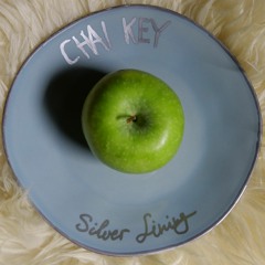 Silver Lining (feat. Phil Circle)