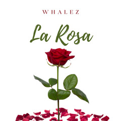 La Rosa