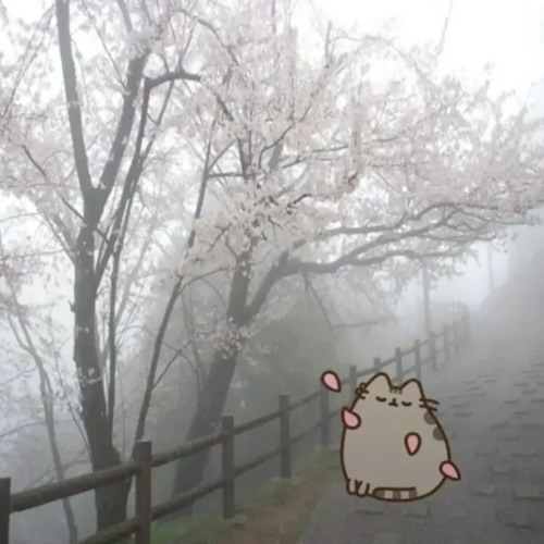 (´-ω-`( _ _ )