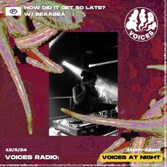 How Did It Get So Late? w/ Beaabea - 12/05/24 - Voices Radio