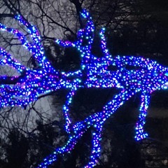 OH MY GOD THAT'S THE FUNKY SHIT [ Beastie Boys FLIP ]