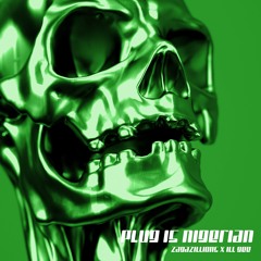 Plug Is Nigerian (feat. Ill Gee)