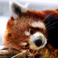 Ewron - #brzydka16challenge