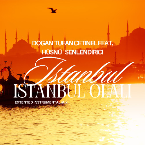 ft. Hüsnü Senlendirici - Istanbul Istanbul Olali (Extented Instrumental Mix)