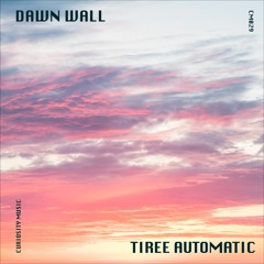 Tiree Automatic - Sunset Arc (Holly North Remix) [Curiosity Music]