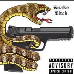 Snake Bitch x raj