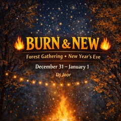 Burn & New - Forest Gathering - New years eve 2025