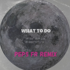 What to do X shook one Pt 3 (PEPS FR REMIX)