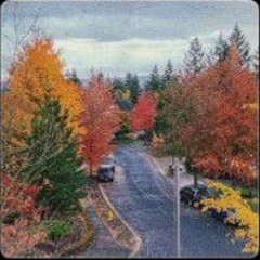 Jake Hill - Watch me wither