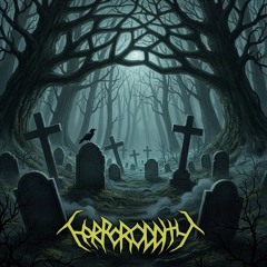 Terroroddity - Symphony of destruction (Megadeth cover)