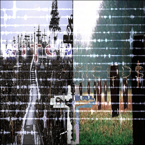 In The Witchfields w/cursedsoulss