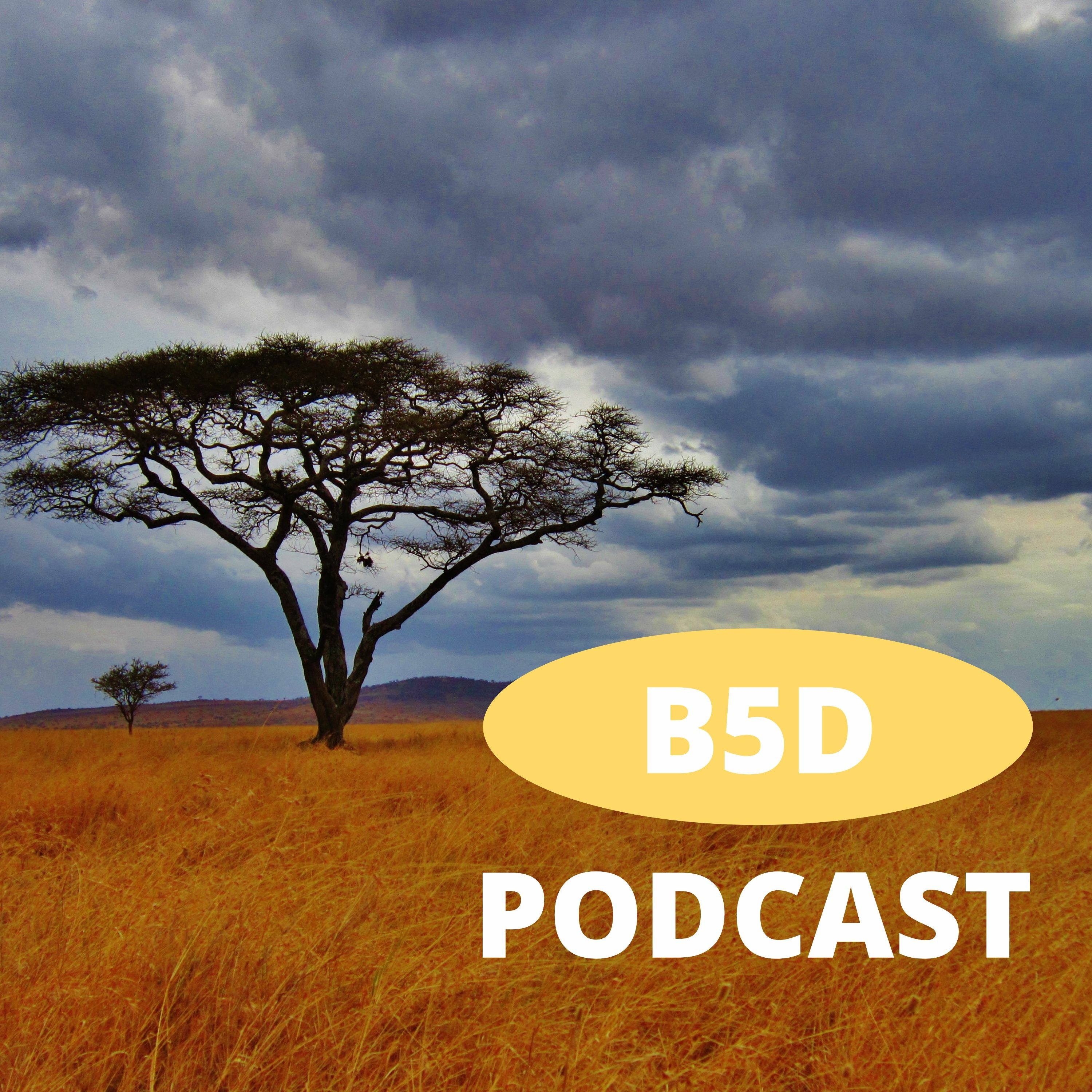 The BIG5D Podcast